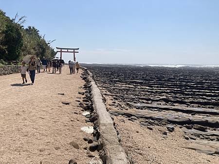 IMG_6544.JPG IMG_6544.JPG