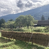 【日本 富山縣】相倉合掌聚落，高岡車站，雨晴海岸