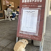 【日本 廣島縣】大久野島(兔子島)，竹原市，吳站