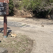 【日本 廣島縣】大久野島(兔子島)，竹原市，吳站