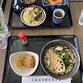 【日本 廣島縣】一天內二個世界遺產:錦帶橋 櫻滿開,宮島 嚴