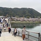 【日本 廣島縣】一天內二個世界遺產:錦帶橋 櫻滿開,宮島 嚴