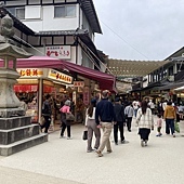 【日本 廣島縣】一天內二個世界遺產:錦帶橋 櫻滿開,宮島 嚴
