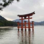 【日本 廣島縣】一天內二個世界遺產:錦帶橋 櫻滿開,宮島 嚴
