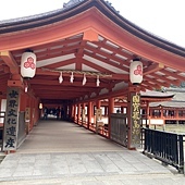 【日本 廣島縣】一天內二個世界遺產:錦帶橋 櫻滿開,宮島 嚴