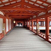 【日本 廣島縣】一天內二個世界遺產:錦帶橋 櫻滿開,宮島 嚴