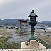 【日本 廣島縣】一天內二個世界遺產:錦帶橋 櫻滿開,宮島 嚴