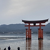 【日本 廣島縣】一天內二個世界遺產：錦帶橋 櫻滿開，宮島 嚴