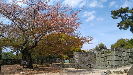 DSC_4089.JPG DSC_4089.JPG