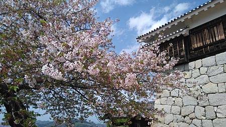 DSC_4096.JPG DSC_4096.JPG