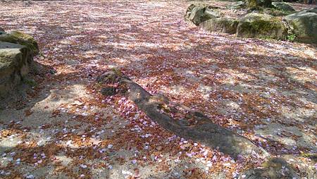 DSC_4092.JPG DSC_4092.JPG