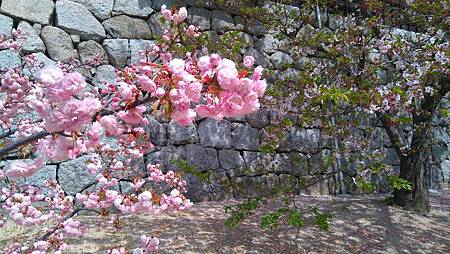 DSC_4104.JPG DSC_4104.JPG