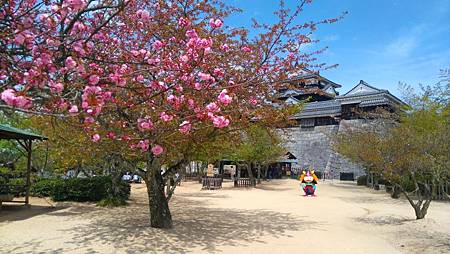 DSC_4120.JPG DSC_4120.JPG