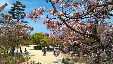 DSC_4133.JPG DSC_4133.JPG