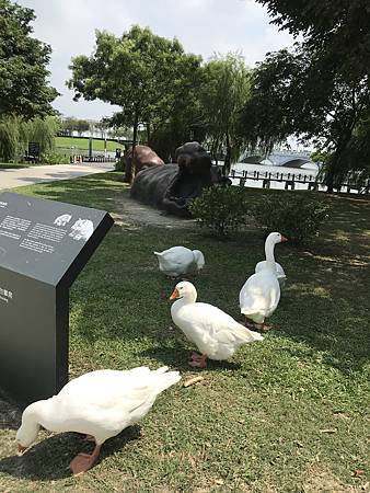 IMG_5854.JPG IMG_5854.JPG