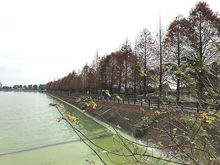 IMG_2117.JPG IMG_2117.JPG