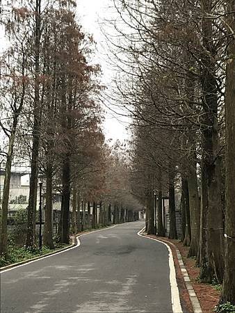 IMG_2122.JPG IMG_2122.JPG