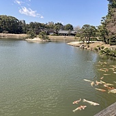 【日本】廣島三原Nice Inn Hotel~岡山 後樂園+