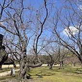 【日本】廣島三原Nice Inn Hotel~岡山 後樂園+