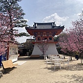 【日本 廣島縣】跳島生口島(耕三寺)，海上伏兔觀音，鞆-重傳