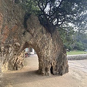 【日本 廣島縣】跳島生口島(耕三寺)，海上伏兔觀音，鞆-重傳