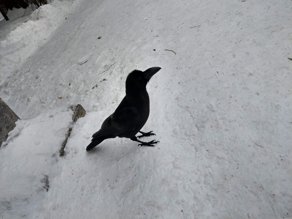 IMAG5535.jpg IMAG5535.jpg