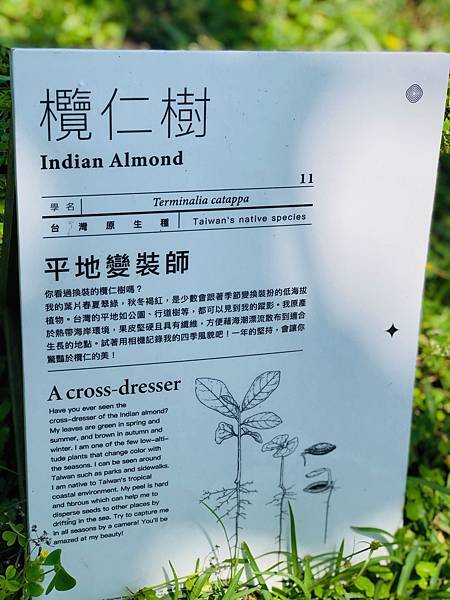 花季不拍花 ~ 和平島公園