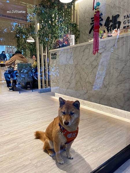 IMG_7820.JPG IMG_7820.JPG