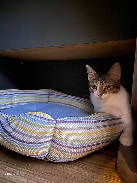 UNADJUSTEDNONRAW_thumb_71a.jpg UNADJUSTEDNONRAW_thumb_71a.jpg