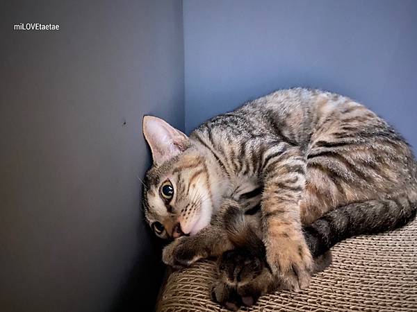 UNADJUSTEDNONRAW_thumb_71b.jpg UNADJUSTEDNONRAW_thumb_71b.jpg