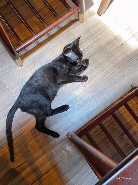 UNADJUSTEDNONRAW_thumb_723.jpg UNADJUSTEDNONRAW_thumb_723.jpg