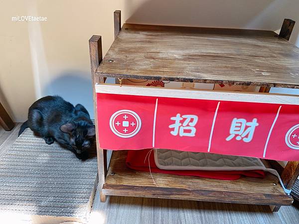 UNADJUSTEDNONRAW_thumb_724.jpg UNADJUSTEDNONRAW_thumb_724.jpg