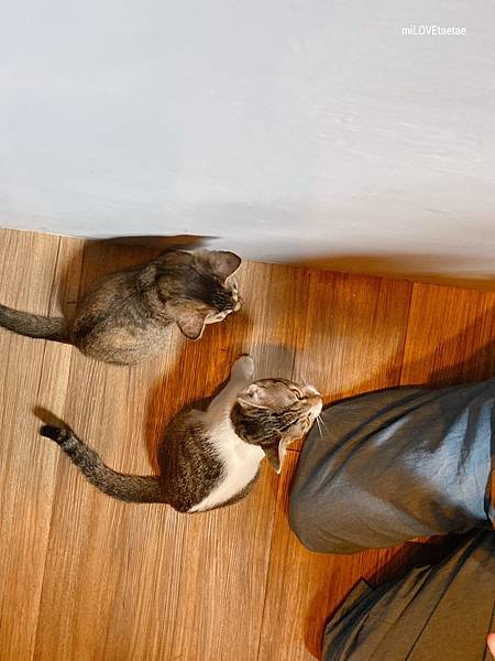 UNADJUSTEDNONRAW_thumb_72a.jpg UNADJUSTEDNONRAW_thumb_72a.jpg