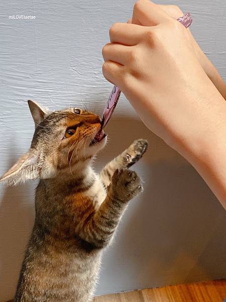 UNADJUSTEDNONRAW_thumb_72b.jpg UNADJUSTEDNONRAW_thumb_72b.jpg