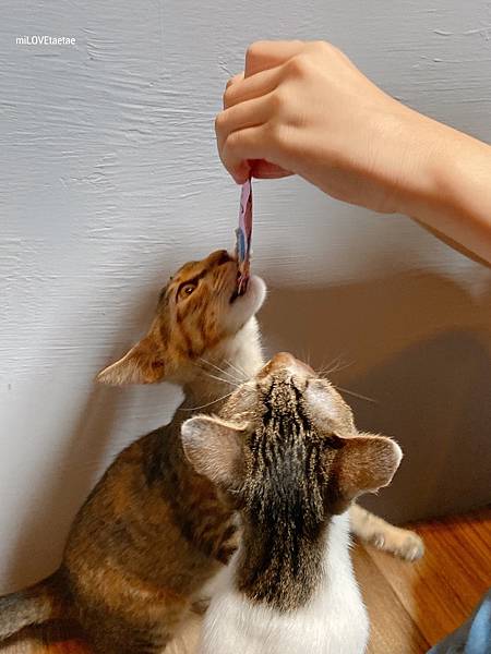 UNADJUSTEDNONRAW_thumb_72c.jpg UNADJUSTEDNONRAW_thumb_72c.jpg