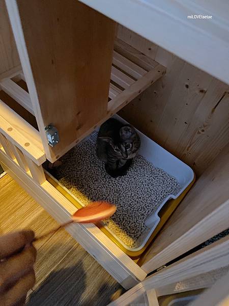 UNADJUSTEDNONRAW_thumb_72f.jpg UNADJUSTEDNONRAW_thumb_72f.jpg