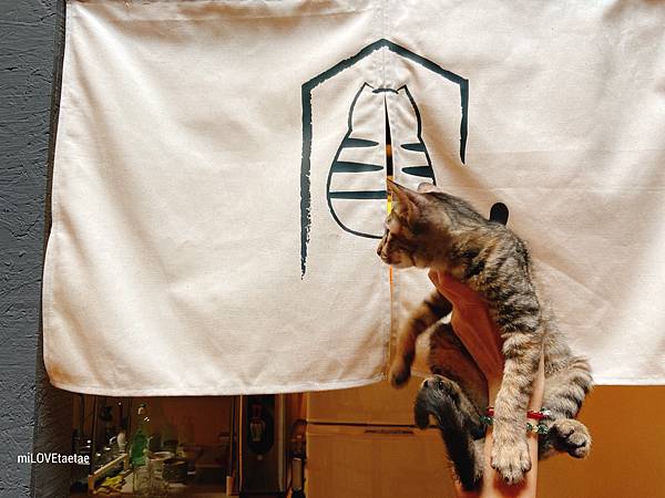 UNADJUSTEDNONRAW_thumb_73a.jpg UNADJUSTEDNONRAW_thumb_73a.jpg