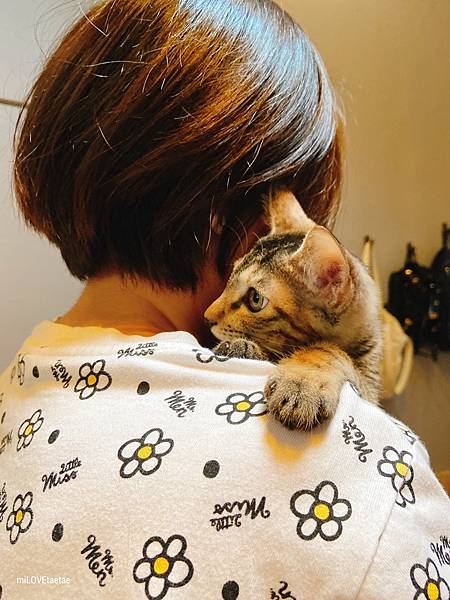 UNADJUSTEDNONRAW_thumb_73c.jpg UNADJUSTEDNONRAW_thumb_73c.jpg