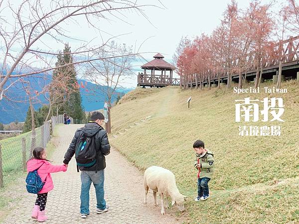 南投-清境農場