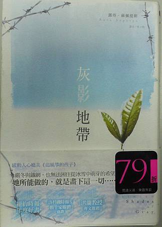 灰影地帶 灰影地帶