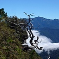 20111013-14_新文化_雪山主東行 (22).JPG