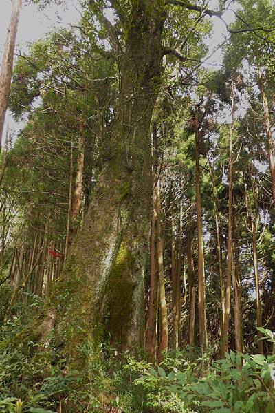 20131214_新竹五峰_鳥嘴 & 大窩山連走 (9).JPG