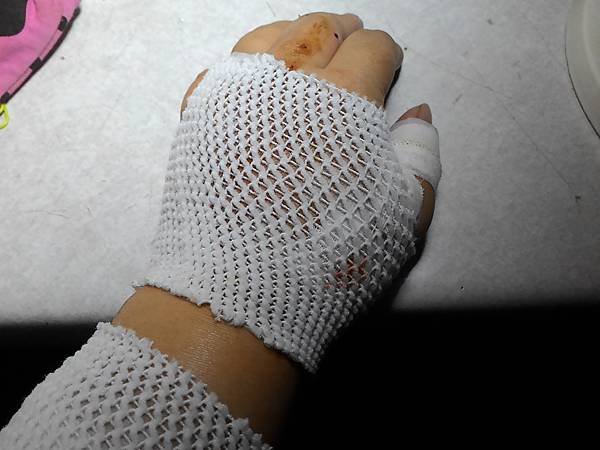 P_20160802_232615.jpg P_20160802_232615.jpg