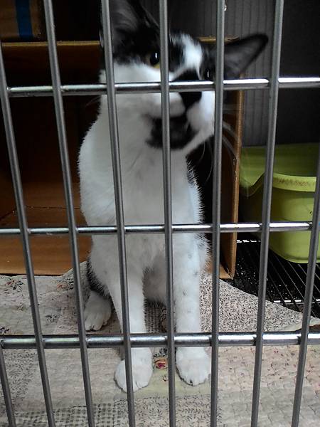 P_20161220_174936.jpg P_20161220_174936.jpg