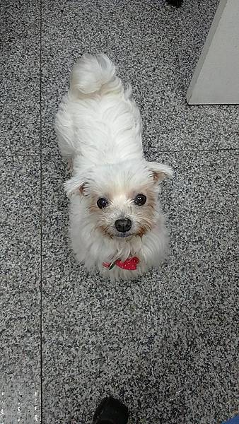 ２０１４五月花