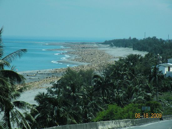 整個東岸都是漂流木.JPG