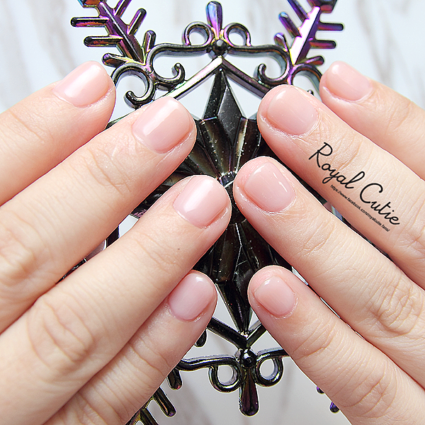 IMG_3854.png IMG_3854.png