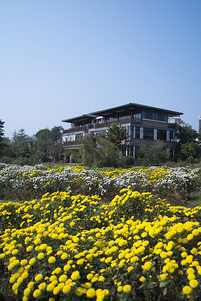 台中市東籬農園洋食館+花2.jpg