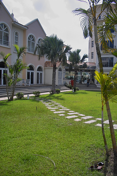 台南縣永康市台南商務會館草坪.jpg