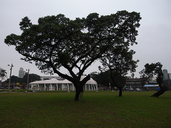 雲林縣斗六市籽種子公園 (5).JPG